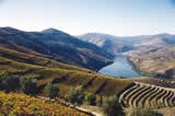 Valle del Douro